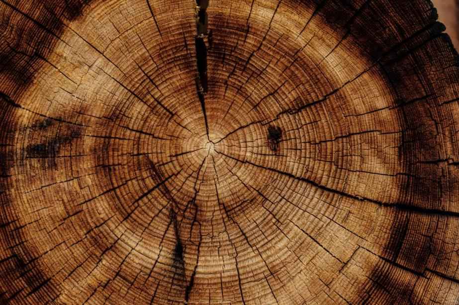What is wood grain