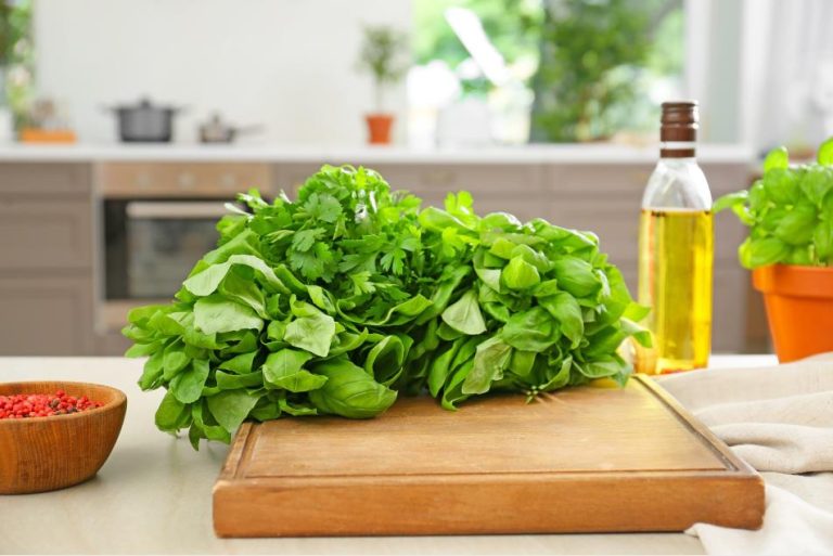 Which Is Better Wood vs. Plastic Cutting Boards