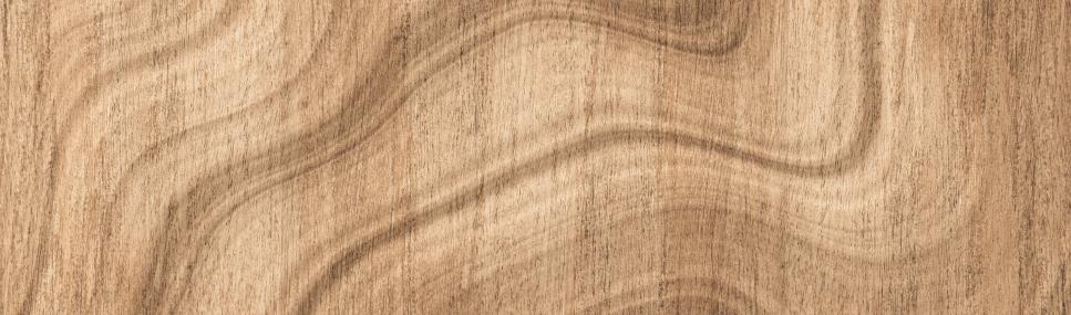 Poplar wood characteristics