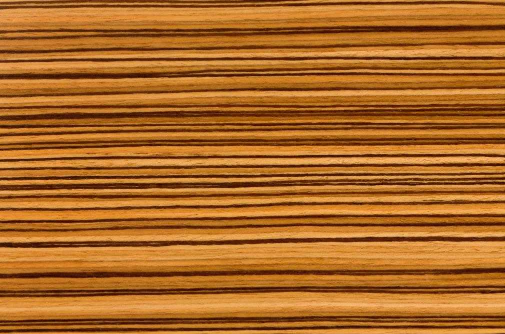what's zebrawood look like