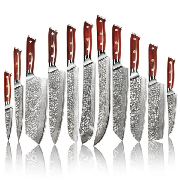 Damascus Clad 10Cr15CoMoV Stabilized Wood Kitchen Knife Set LKKSE10018