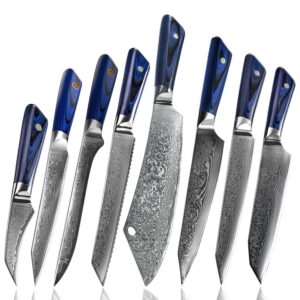 Damascus Clad AUS-10 G10 Kitchen Knife Set LKKSE10028