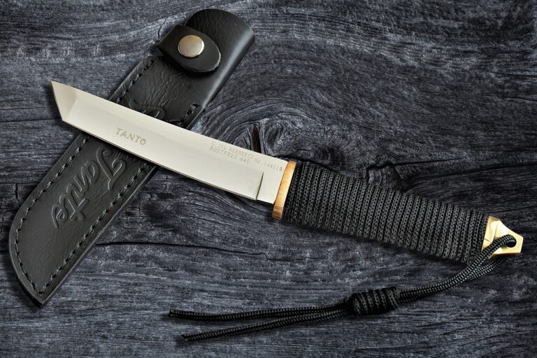 Tanto vs Reverse Tanto: Key Differences, Pros, and Cons for Knife Lovers