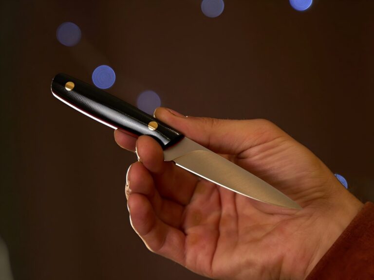 petty knife vs paring knife